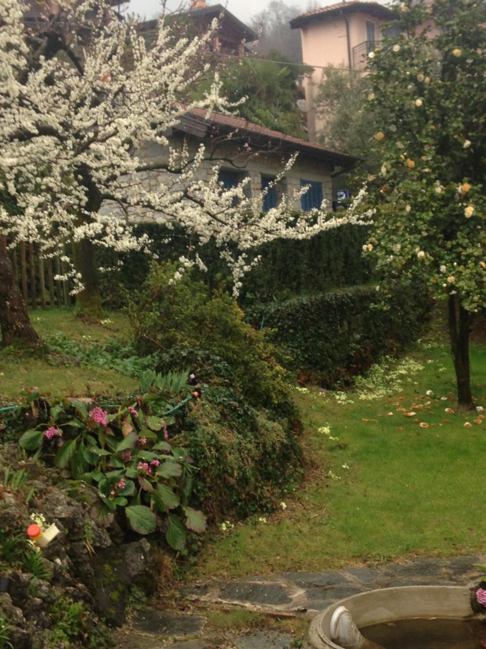 Villa Maria Lago Maggiore Reno Di Leggiuno Eksteriør bilde