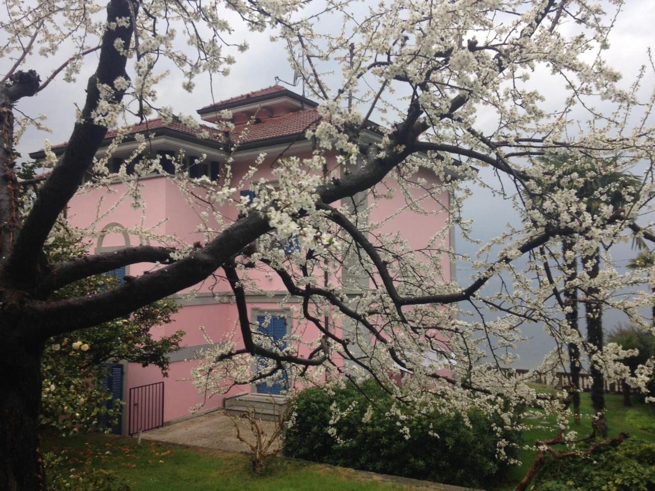Villa Maria Lago Maggiore Reno Di Leggiuno Eksteriør bilde